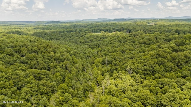 Big Spring Rd, Oneida, TN 37841 - photo 27