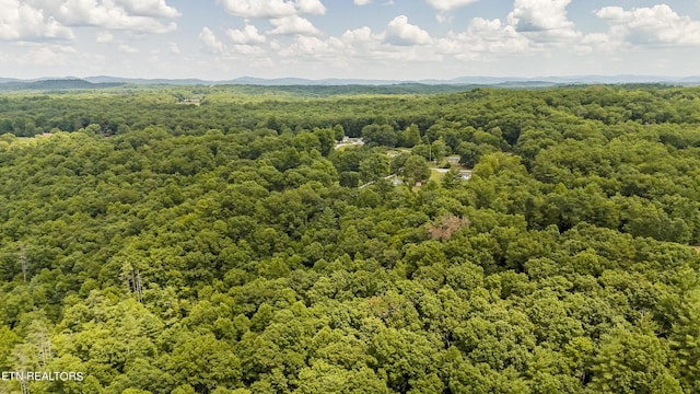 Big Spring Rd, Oneida, TN 37841 - photo 28