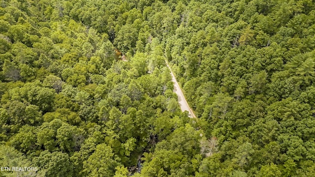 Big Spring Rd, Oneida, TN 37841 - photo 29