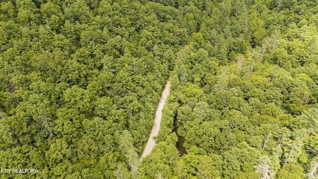Big Spring Rd, Oneida, TN 37841 - photo 30