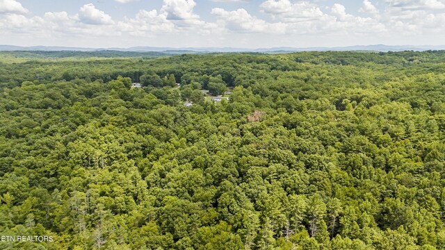 Big Spring Rd, Oneida, TN 37841 - photo 32