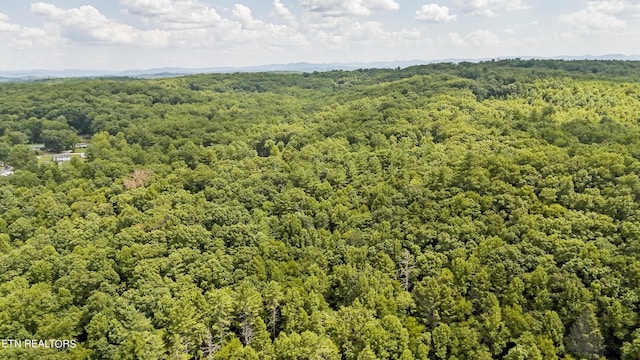 Big Spring Rd, Oneida, TN 37841 - photo 33