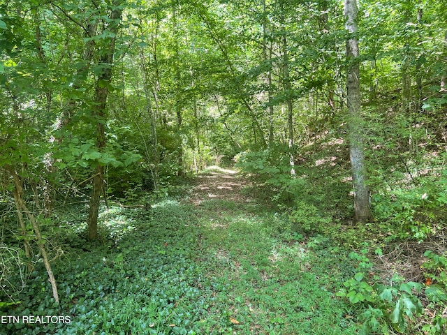 Big Spring Rd, Oneida, TN 37841 - photo 34