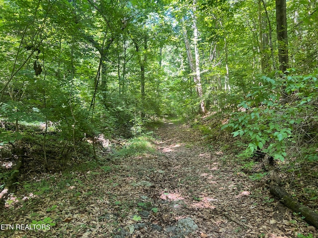 Big Spring Rd, Oneida, TN 37841 - photo 35