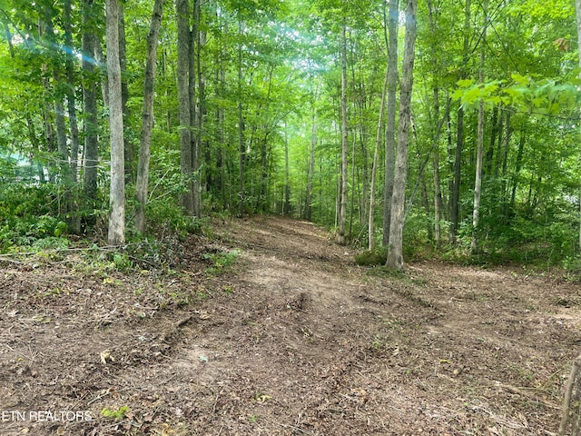 Big Spring Rd, Oneida, TN 37841 - photo 36
