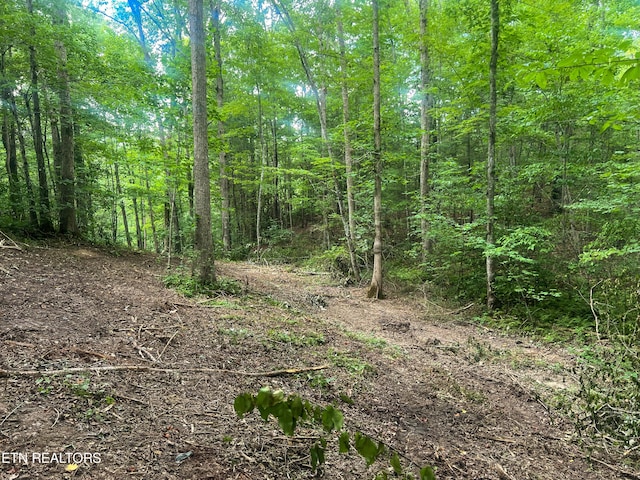 Big Spring Rd, Oneida, TN 37841 - photo 37