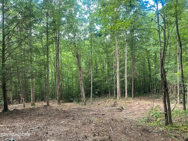 Big Spring Rd, Oneida, TN 37841 - photo 38
