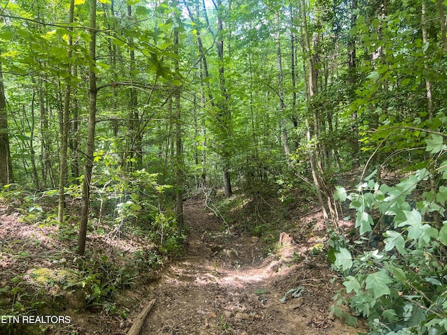 Big Spring Rd, Oneida, TN 37841 - photo 39
