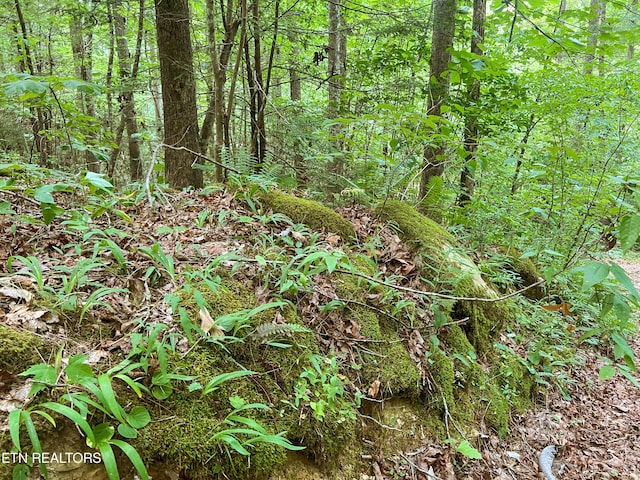 Big Spring Rd, Oneida, TN 37841 - photo 40