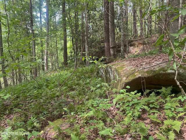 Big Spring Rd, Oneida, TN 37841 - photo 41