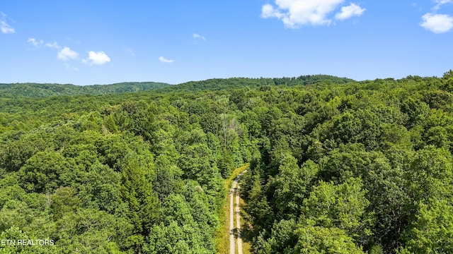 Willie Boyatt Rd, Oneida, TN 37841 - photo 4