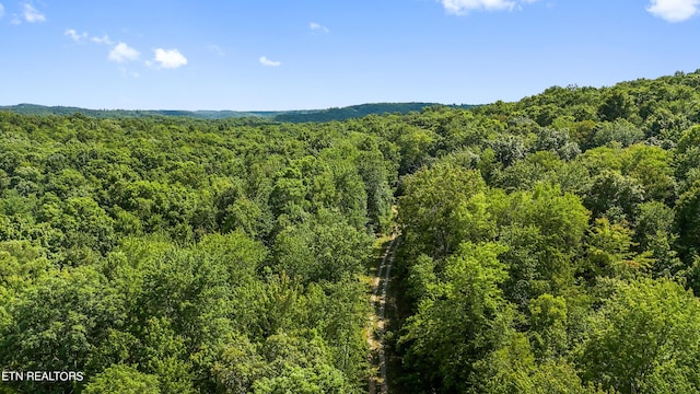 Willie Boyatt Rd, Oneida, TN 37841 - photo 5