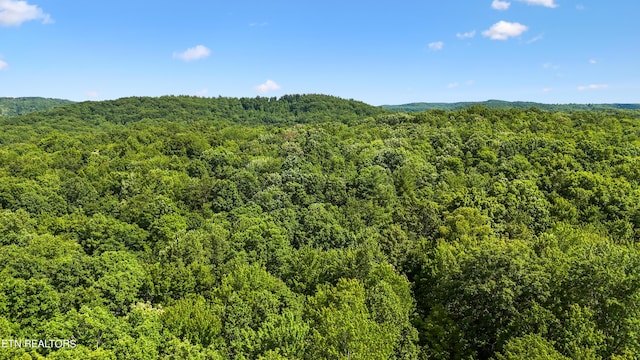 Willie Boyatt Rd, Oneida, TN 37841 - photo 6