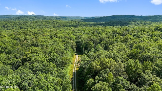 Willie Boyatt Rd, Oneida, TN 37841 - photo 7