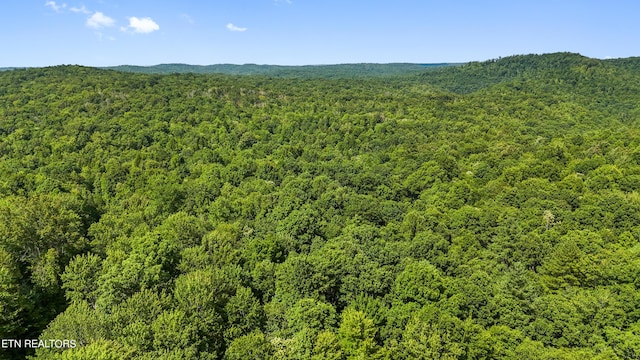Willie Boyatt Rd, Oneida, TN 37841 - photo 8