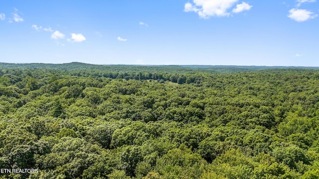 Willie Boyatt Rd, Oneida, TN 37841 - photo 9