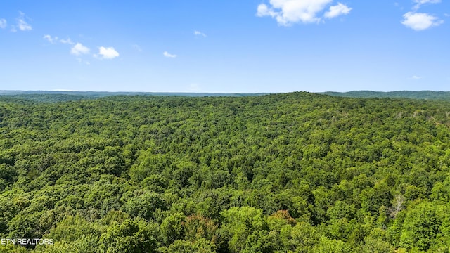 Willie Boyatt Rd, Oneida, TN 37841 - photo 10