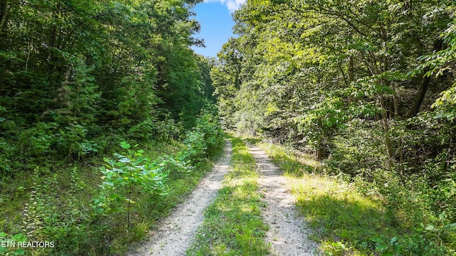 Willie Boyatt Rd, Oneida, TN 37841 - photo 12