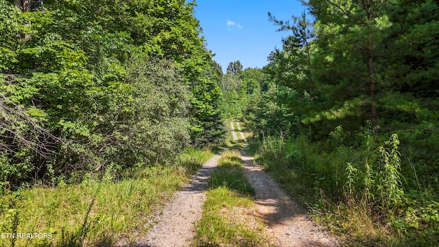 Willie Boyatt Rd, Oneida, TN 37841 - photo 13