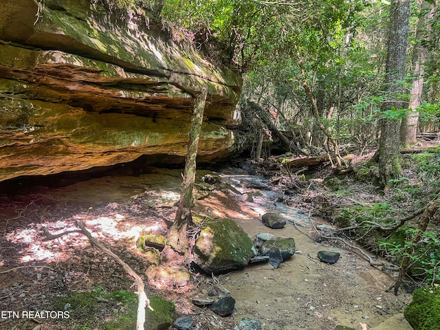 Willie Boyatt Rd, Oneida, TN 37841 - photo 2