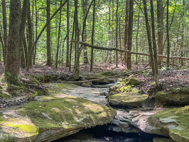 Willie Boyatt Rd, Oneida, TN 37841