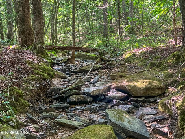 Willie Boyatt Rd, Oneida, TN 37841 - photo 3