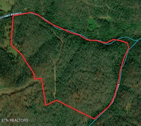 Willie Boyatt Rd, Oneida, TN 37841 - photo 14