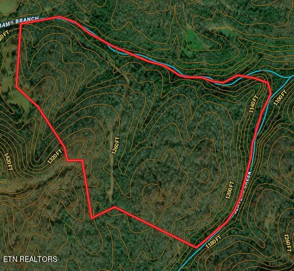 Willie Boyatt Rd, Oneida, TN 37841 - photo 15