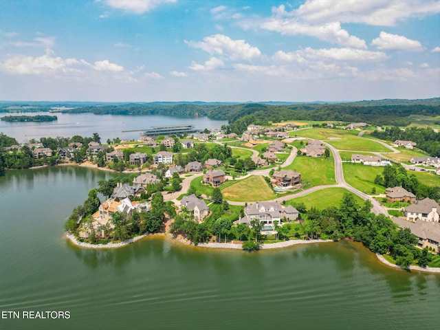 1285 Castaway Ln, Lenoir City, TN 37772 - photo 8