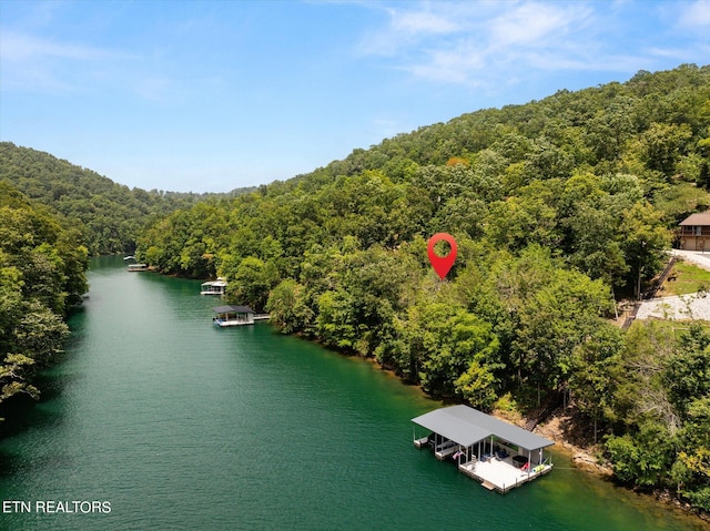 Fox Lake Ln, Lafollette TN, 37766 land for sale