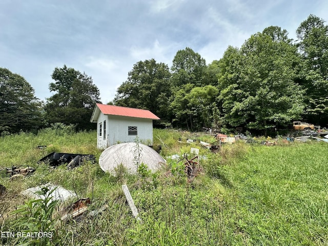 view of yard featuring a storage shed