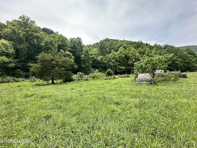 view of yard featuring a rural view