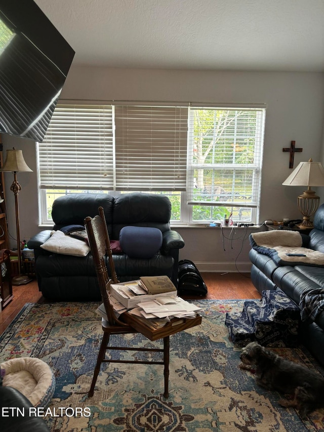 living room featuring hardwood / wood-style flooring and a wealth of natural light