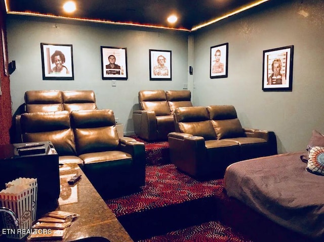 view of carpeted home theater