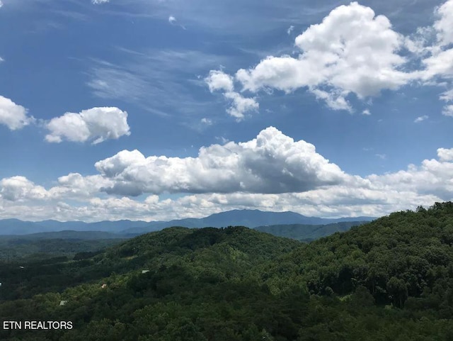 property view of mountains