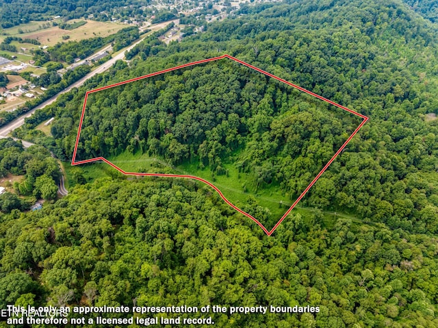 TBD Highway 66 N, Rogersville TN, 37857 land for sale