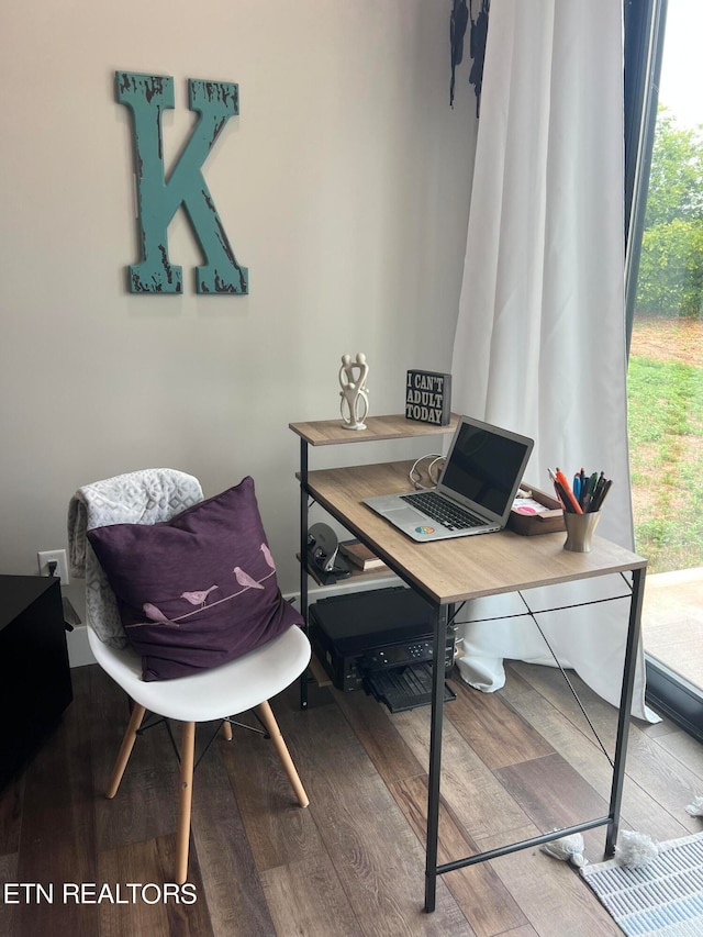 office area featuring a wealth of natural light and hardwood / wood-style floors