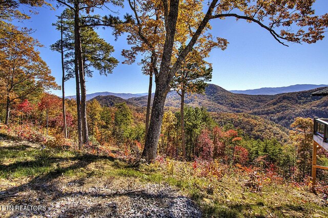 4903 Long Rifle Rd, Walland, TN 37886