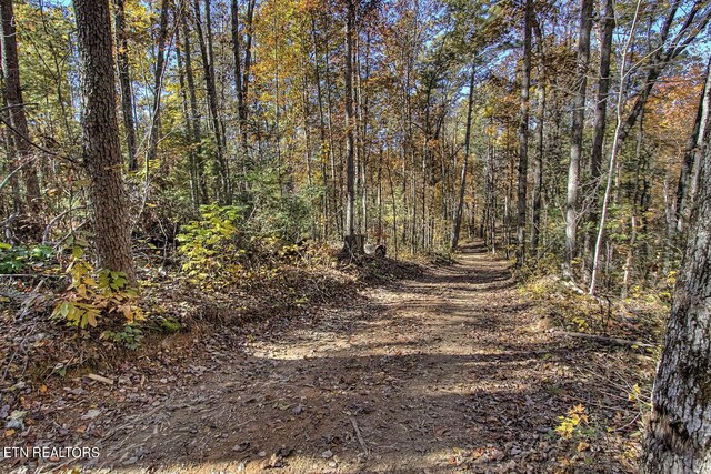 4903 Long Rifle Rd, Walland, TN 37886