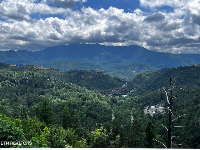 property view of mountains