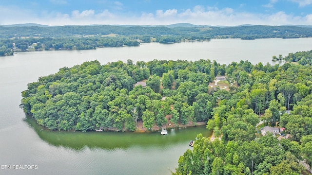 birds eye view of property with a water and mountain view