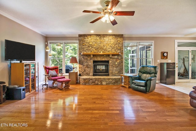 living room with ceiling fan, a stone fireplace, ornamental molding, and hardwood / wood-style floors