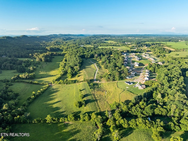 836 Franklin Xing, Maryville, TN 37804 - photo 4