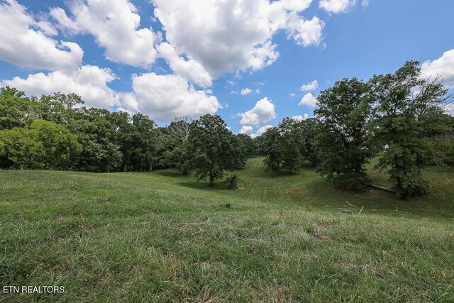 836 Franklin Xing, Maryville, TN 37804 - photo 8