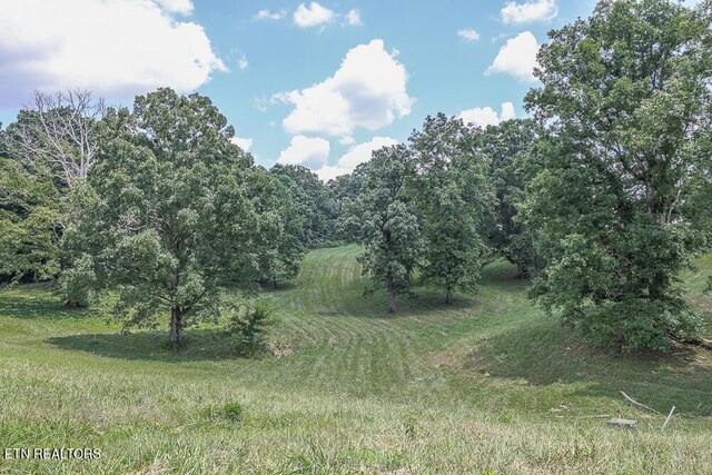 836 Franklin Xing, Maryville, TN 37804 - photo 9