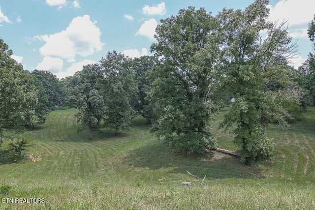 836 Franklin Xing, Maryville, TN 37804 - photo 10