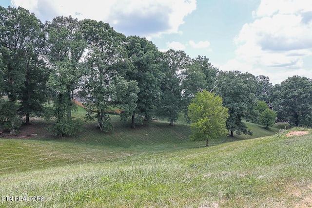 836 Franklin Xing, Maryville, TN 37804 - photo 11