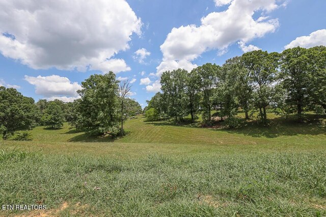 836 Franklin Xing, Maryville, TN 37804 - photo 14