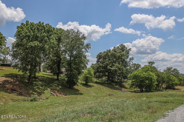 836 Franklin Xing, Maryville, TN 37804 - photo 19