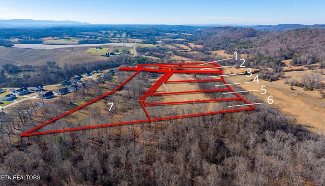 836 Franklin Xing, Maryville, TN 37804 - photo 25